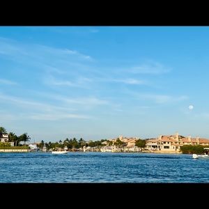 Meet your Posher, Lynette